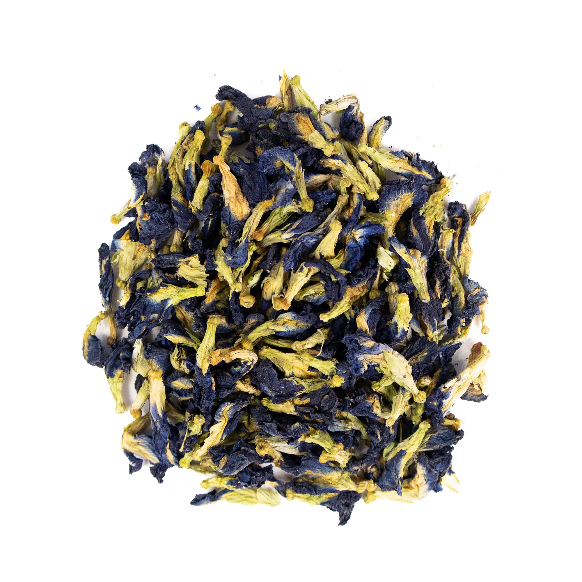 Butterfly Pea - Image 2