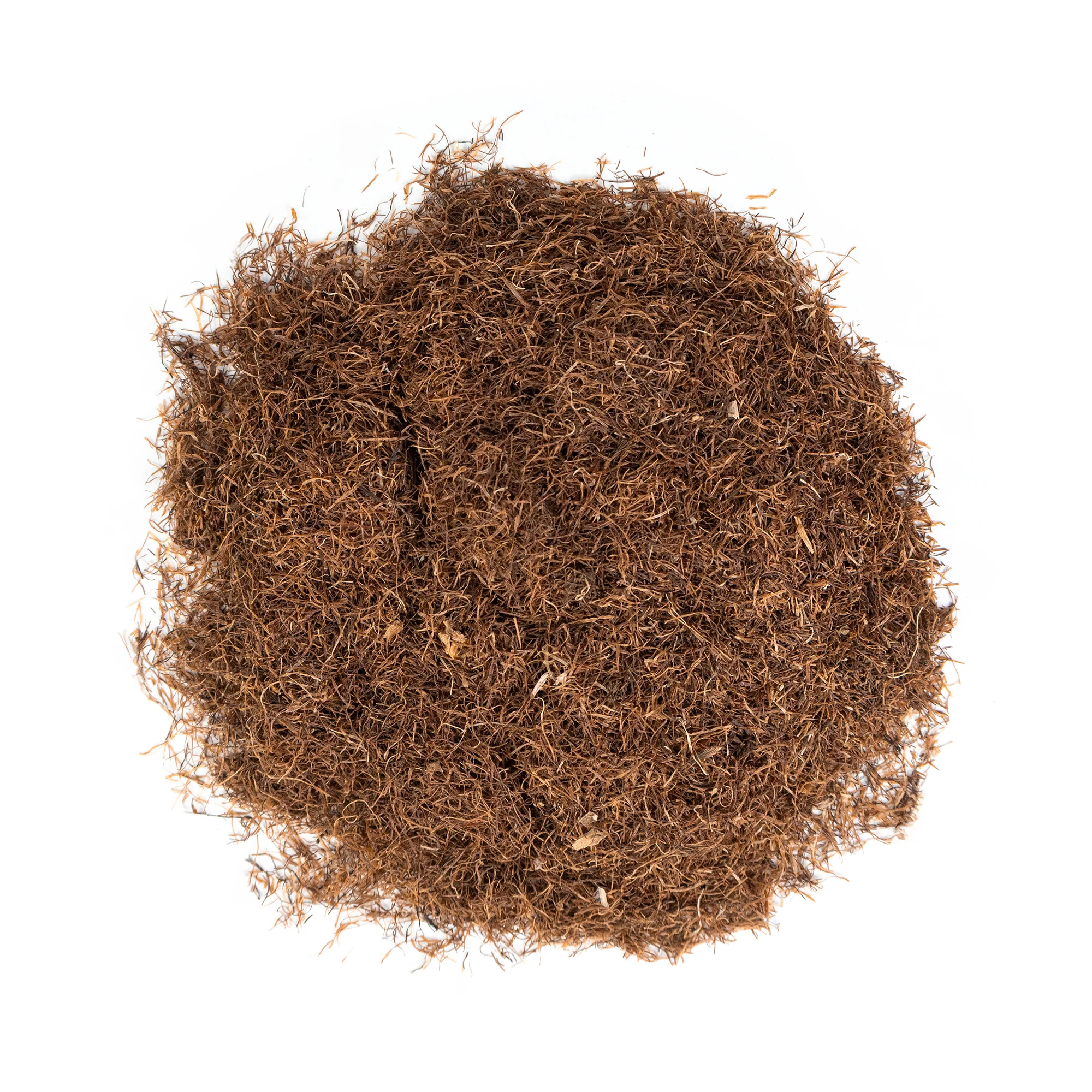 Corn Silk - Image 2