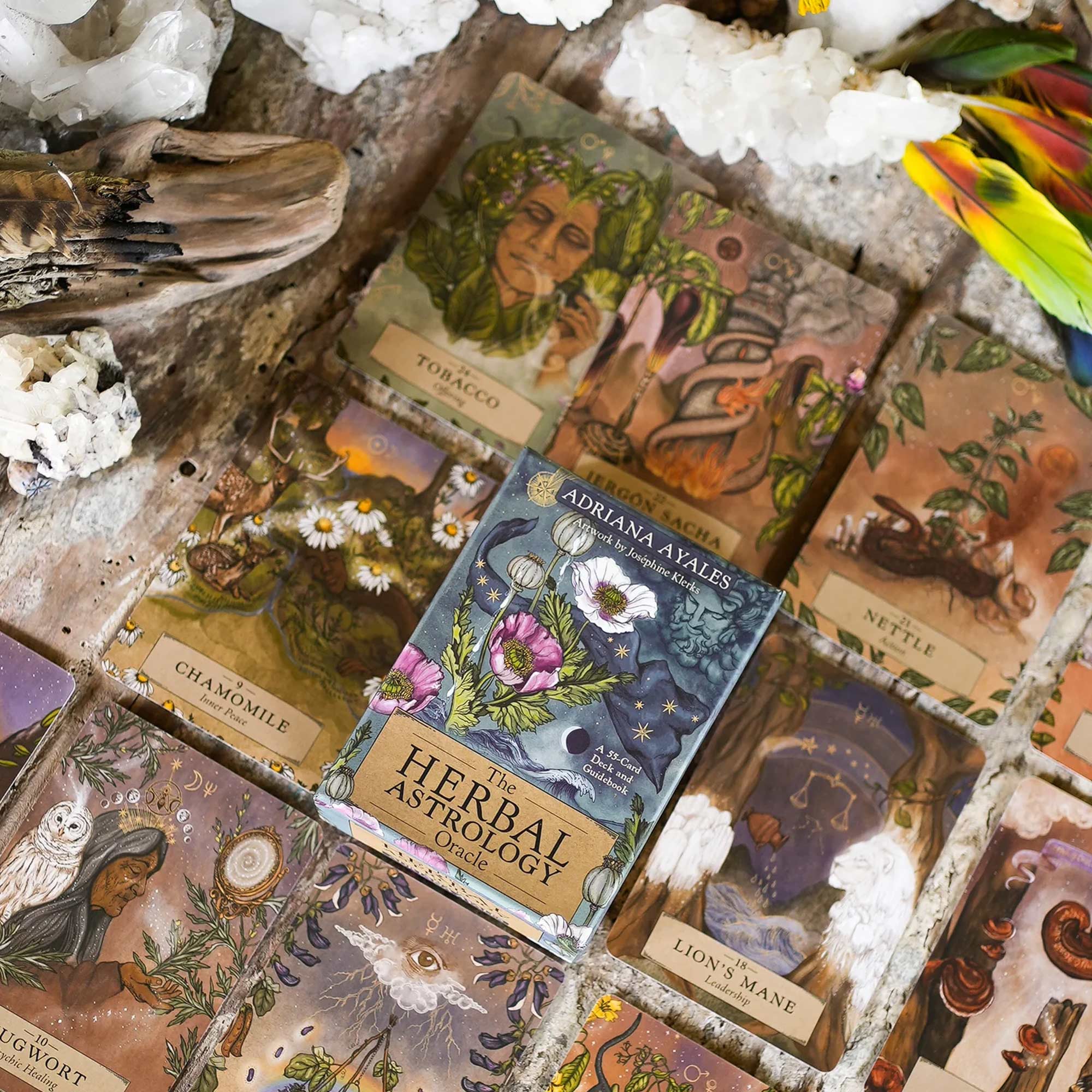Herbal Astrology Oracle - Image 4