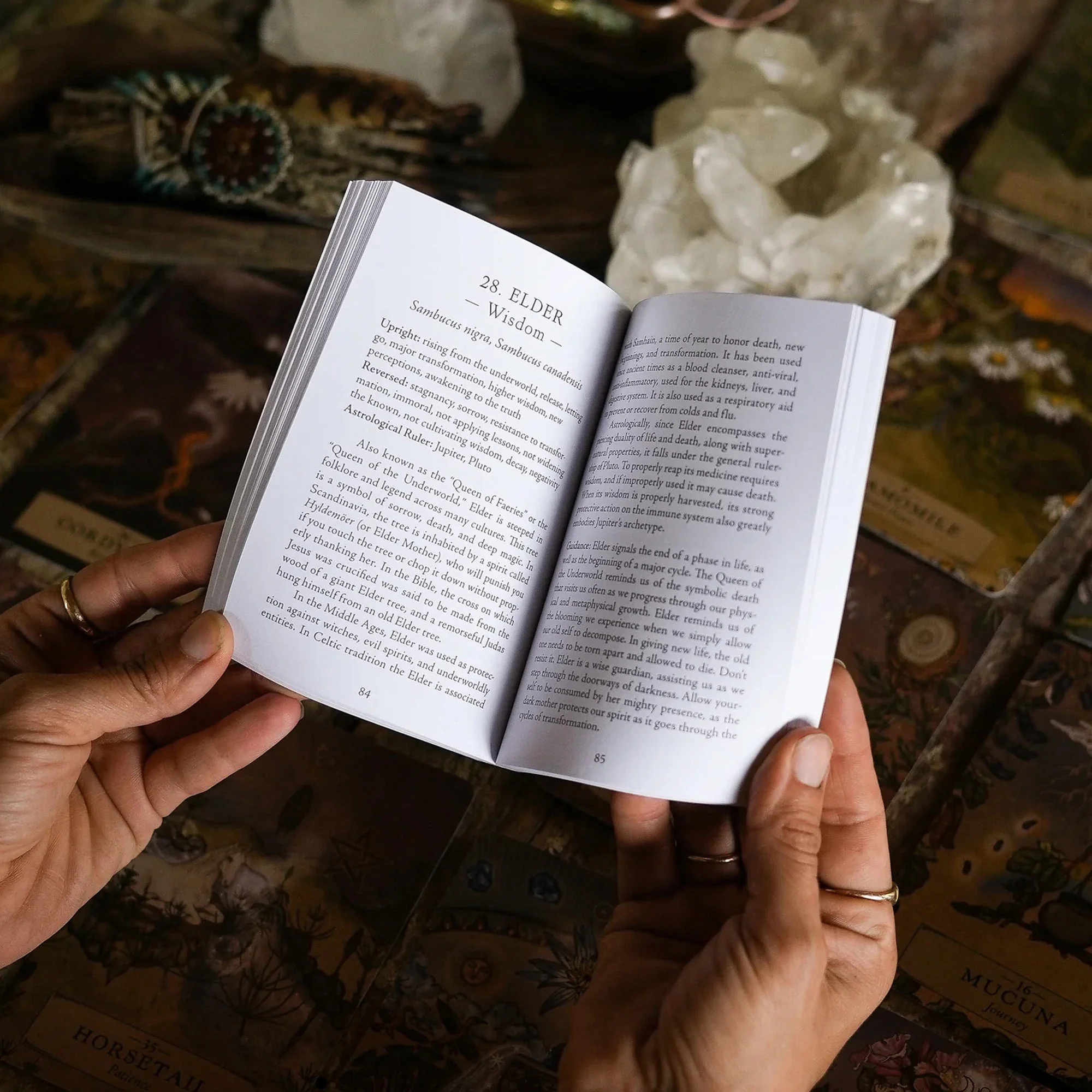 Herbal Astrology Oracle - Image 5
