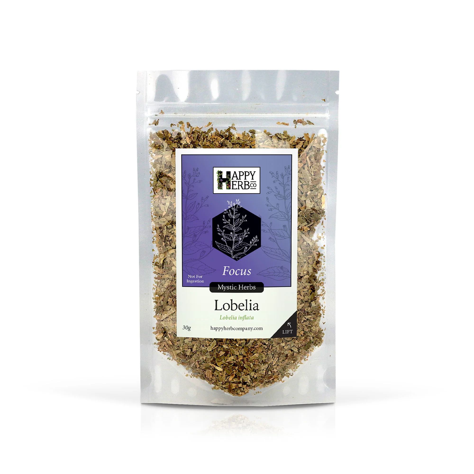 Lobelia