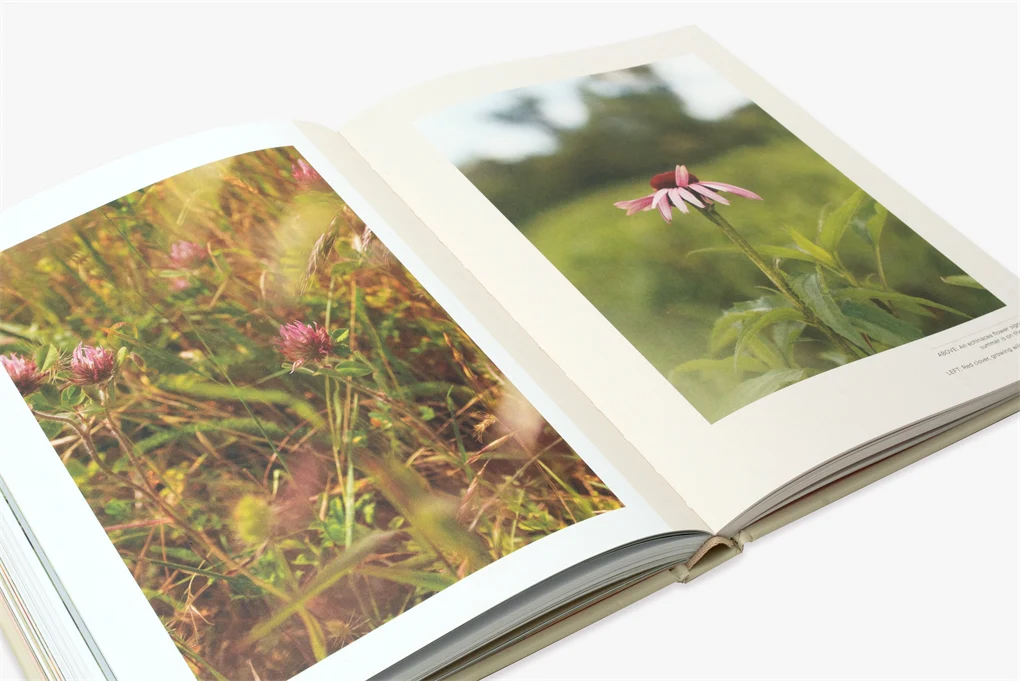 Plants For The People: A Modern Guide to Plant Medicine (Paperback) - Image 3
