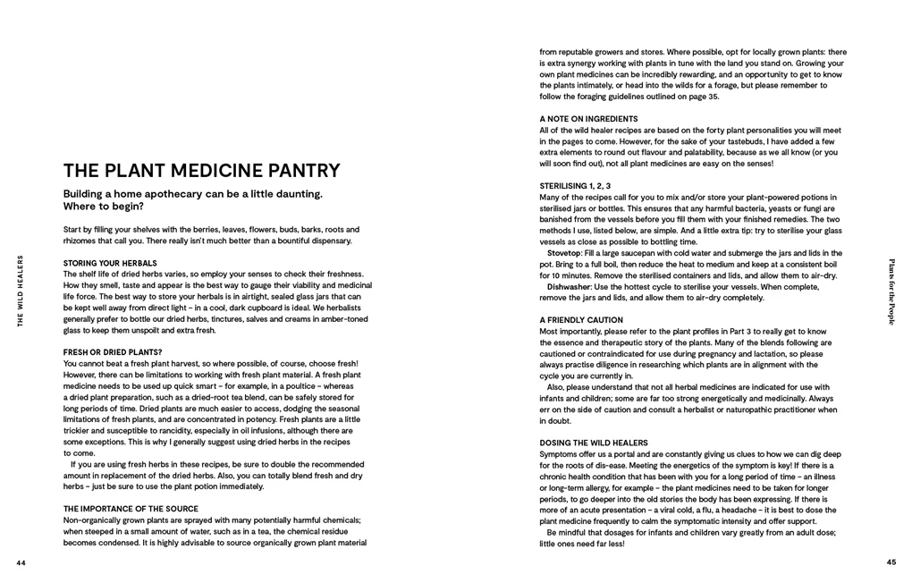 Plants For The People: A Modern Guide to Plant Medicine (Paperback) - Image 6