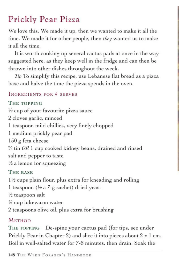 Weed Forager's Handbook: A Guide to Edible and Medicinal Weeds in Australia - Image 5