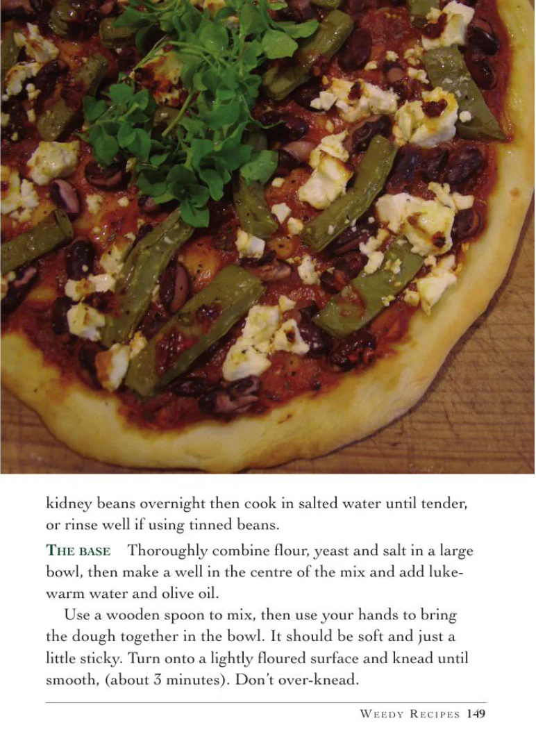 Weed Forager's Handbook: A Guide to Edible and Medicinal Weeds in Australia - Image 6